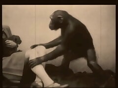 #Vintage Bombshell And The Beast#