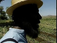 #homey-in-the-haystack#