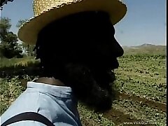 homey-in-the-haystack