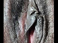Beaver macro shot view boink