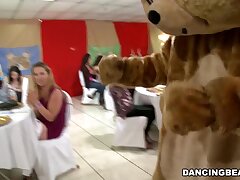 It's time to feast and party with the infamous Dancing Bear! (db9822)