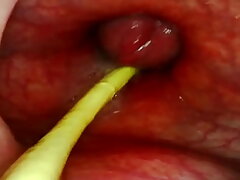 ANAL POV. CAMERA INSIDE HER ASSHOLE AS I Fuck HER WITH MY BIG Penis AND Jizm DEEP INSIDE