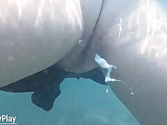 Underwater internal ejaculation while swimming after spunk inwards pussy
