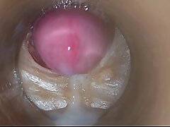 Precum in my poon Camera In Vagina 4k
