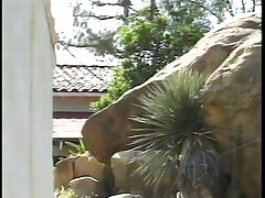 Dude arches the babe over in public and then smashes her vagina