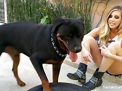 Puba Videos
