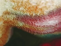 Active India dolls Village food my apartment in the world