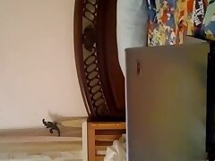 Arab Sexy Girl..... New