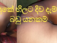 tonguing Anal Sinhala Pleasure from the tongue -ass eating