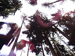 a16 older vid