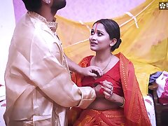 Desi Bihaari Bhabhi Xxx boned by dewarji when Bhaiya not at home ( Hindi Audio )