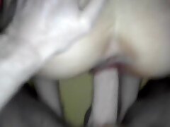 Doggy Creampie
