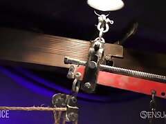 Smooth-shaven slave in cell with gigantic ball gag
