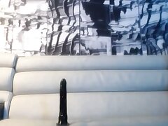 Dildo rail with d ass
