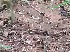 Kamala Aunty Phone lo Srungaram with Neighbour Telugu Phone Converse Talk Telugu Mu low
