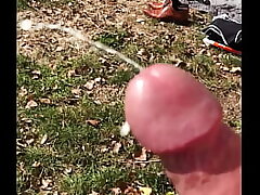 Public Beach Stroking
