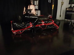 Prick sitting and slaping inside bag