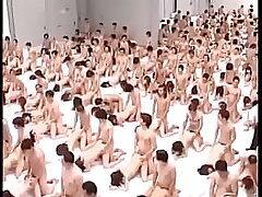 World record of shagging